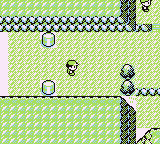 Ruta 3 en Pokémon Rojo, Azul y Amarillo — captura 1