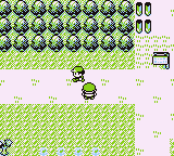 Ruta 1 en Pokémon Rojo, Azul y Amarillo — captura 1