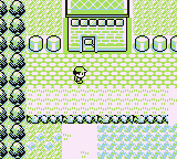 Bosque Verde en Pokémon Rojo, Azul y Amarillo — captura 1