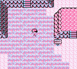 Zona Safari en Pokémon Rojo, Azul y Amarillo — captura 1 Zona Safari en Pokémon Rojo, Azul y Amarillo — captura 1