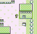 Ruta 5-6 en Pokémon Rojo, Azul y Amarillo — captura 2