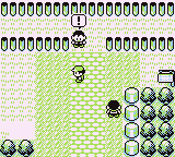 Ruta 12-15 en Pokémon Rojo, Azul y Amarillo — captura 3