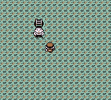 Mt. Moon en Pokémon Rojo, Azul y Amarillo — captura 1