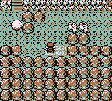 Calle Victoria en Pokémon Rojo, Azul y Amarillo — captura 1