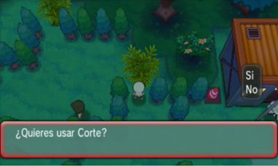 Ruta 116 y Túnel Fervegal en Pokémon Rubí Omega y Zafiro Alfa — captura 1 Ruta 116 y Túnel Fervegal en Pokémon Rubí Omega y Zafiro Alfa — captura 1