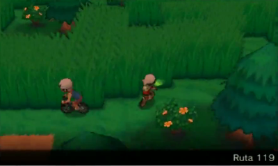 Ruta 119 en Pokémon Rubí Omega y Zafiro Alfa — captura 1