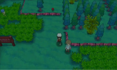 Ruta 116 y Túnel Fervegal en Pokémon Rubí Omega y Zafiro Alfa — captura 2 Ruta 116 y Túnel Fervegal en Pokémon Rubí Omega y Zafiro Alfa — captura 2