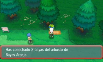 Ruta 102 y Ciudad Petalia en Pokémon Rubí Omega y Zafiro Alfa — captura 2