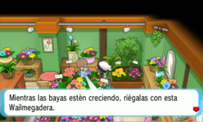 Ruta 104 en Pokémon Rubí Omega y Zafiro Alfa — captura 1 Ruta 104 en Pokémon Rubí Omega y Zafiro Alfa — captura 1
