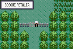 Ruta 104 en Pokémon Rubí, Zafiro y Esmeralda — captura 2