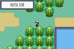 Ciudad Petalia en Pokémon Rubí, Zafiro y Esmeralda — captura 2 Ciudad Petalia en Pokémon Rubí, Zafiro y Esmeralda — captura 2