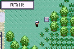 Ruta 116 en Pokémon Rubí, Zafiro y Esmeralda — captura 1 Ruta 116 en Pokémon Rubí, Zafiro y Esmeralda — captura 1