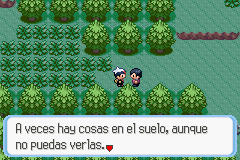 Ruta 104 en Pokémon Rubí, Zafiro y Esmeralda — captura 1