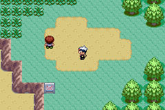 Ruta 104 en Pokémon Rubí, Zafiro y Esmeralda — captura 1