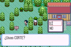 Ruta 116 en Pokémon Rubí, Zafiro y Esmeralda — captura 1 Ruta 116 en Pokémon Rubí, Zafiro y Esmeralda — captura 1