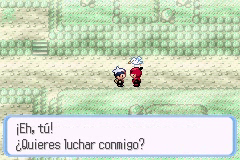 Ruta 116 en Pokémon Rubí, Zafiro y Esmeralda — captura 1 Ruta 116 en Pokémon Rubí, Zafiro y Esmeralda — captura 1