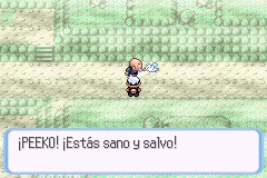 Ruta 116 en Pokémon Rubí, Zafiro y Esmeralda — captura 2 Ruta 116 en Pokémon Rubí, Zafiro y Esmeralda — captura 2