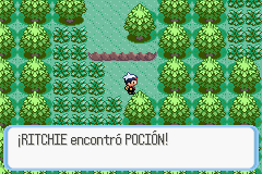 Ciudad Petalia en Pokémon Rubí, Zafiro y Esmeralda — captura 2 Ciudad Petalia en Pokémon Rubí, Zafiro y Esmeralda — captura 2