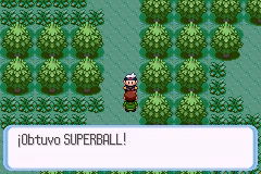 Ruta 104 en Pokémon Rubí, Zafiro y Esmeralda — captura 2