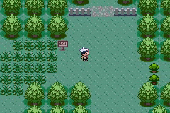 Ruta 104 en Pokémon Rubí, Zafiro y Esmeralda — captura 1