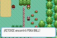 Ruta 104 en Pokémon Rubí, Zafiro y Esmeralda — captura 2