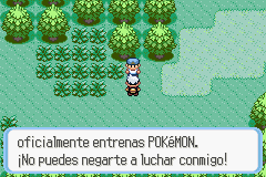 Ciudad Petalia en Pokémon Rubí, Zafiro y Esmeralda — captura 2 Ciudad Petalia en Pokémon Rubí, Zafiro y Esmeralda — captura 2