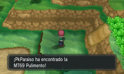 Ruta 11 (Senda Reflejos) en Pokémon X e Y — captura 2 Ruta 11 (Senda Reflejos) en Pokémon X e Y — captura 2