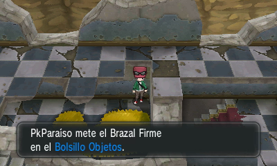 Ruta 15 (Senda Hojarasca) en Pokémon X e Y — captura 1 Ruta 15 (Senda Hojarasca) en Pokémon X e Y — captura 1