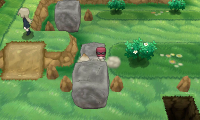 Ruta 21 (Vía Ultimia) [opcional] en Pokémon X e Y — captura 1
