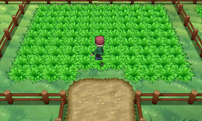 Ciudad Batik en Pokémon X e Y — captura 2 Ciudad Batik en Pokémon X e Y — captura 2