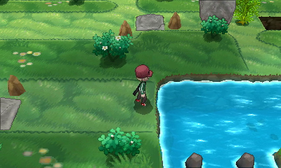 Ruta 21 (Vía Ultimia) [opcional] en Pokémon X e Y — captura 2