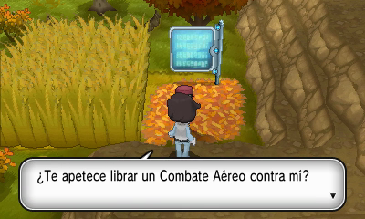 Ruta 16 (Senda Melancolía) en Pokémon X e Y — captura 1