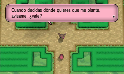 Palacio Cénit en Pokémon X e Y — captura 2