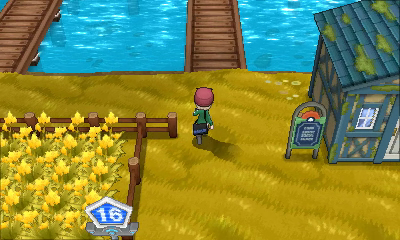 Ruta 16 (Senda Melancolía) en Pokémon X e Y — captura 2
