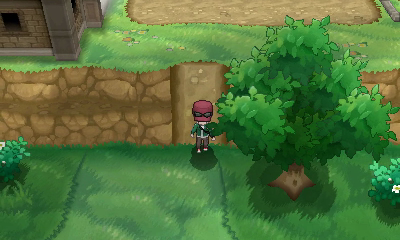 Ruta 21 (Vía Ultimia) [opcional] en Pokémon X e Y — captura 1