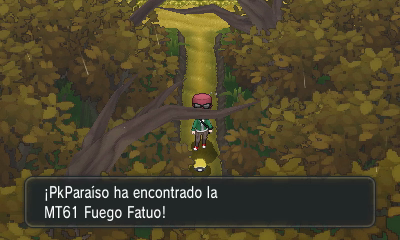 Ruta 14 (Arboleda Romantis) en Pokémon X e Y — captura 2