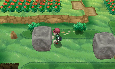 Ruta 21 (Vía Ultimia) [opcional] en Pokémon X e Y — captura 2