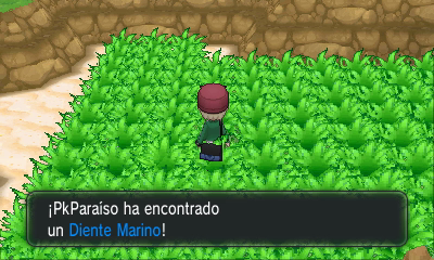 Bahía Azul [opcional] en Pokémon X e Y — captura 2