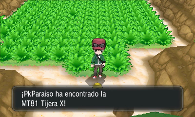 Bahía Azul [opcional] en Pokémon X e Y — captura 1