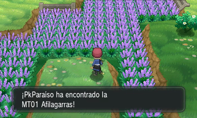 Ruta 5 (Vía Repecho) en Pokémon X e Y — captura 2 Ruta 5 (Vía Repecho) en Pokémon X e Y — captura 2