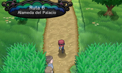Ruta 6 (Alameda del Palacio) (2ª visita) [opcional] en Pokémon X e Y — captura 1