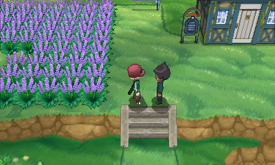 Ruta 21 (Vía Ultimia) [opcional] en Pokémon X e Y — captura 1