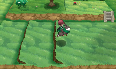 Ruta 12 (Vereda del Heno) en Pokémon X e Y — captura 2