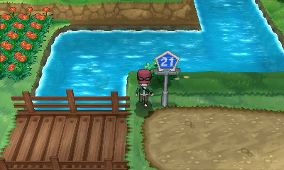 Ruta 21 (Vía Ultimia) [opcional] en Pokémon X e Y — captura 1