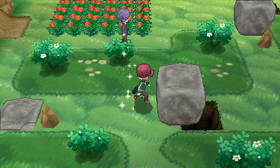 Ruta 21 (Vía Ultimia) [opcional] en Pokémon X e Y — captura 1