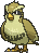 Sprite shiny de Pidgey