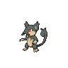 Rattata de Alola