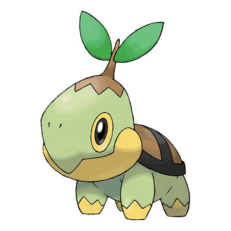 Turtwig