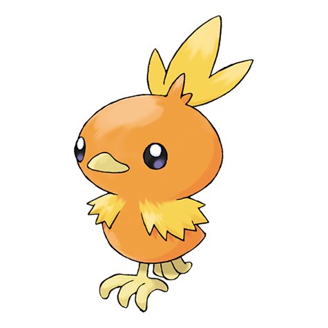 Torchic