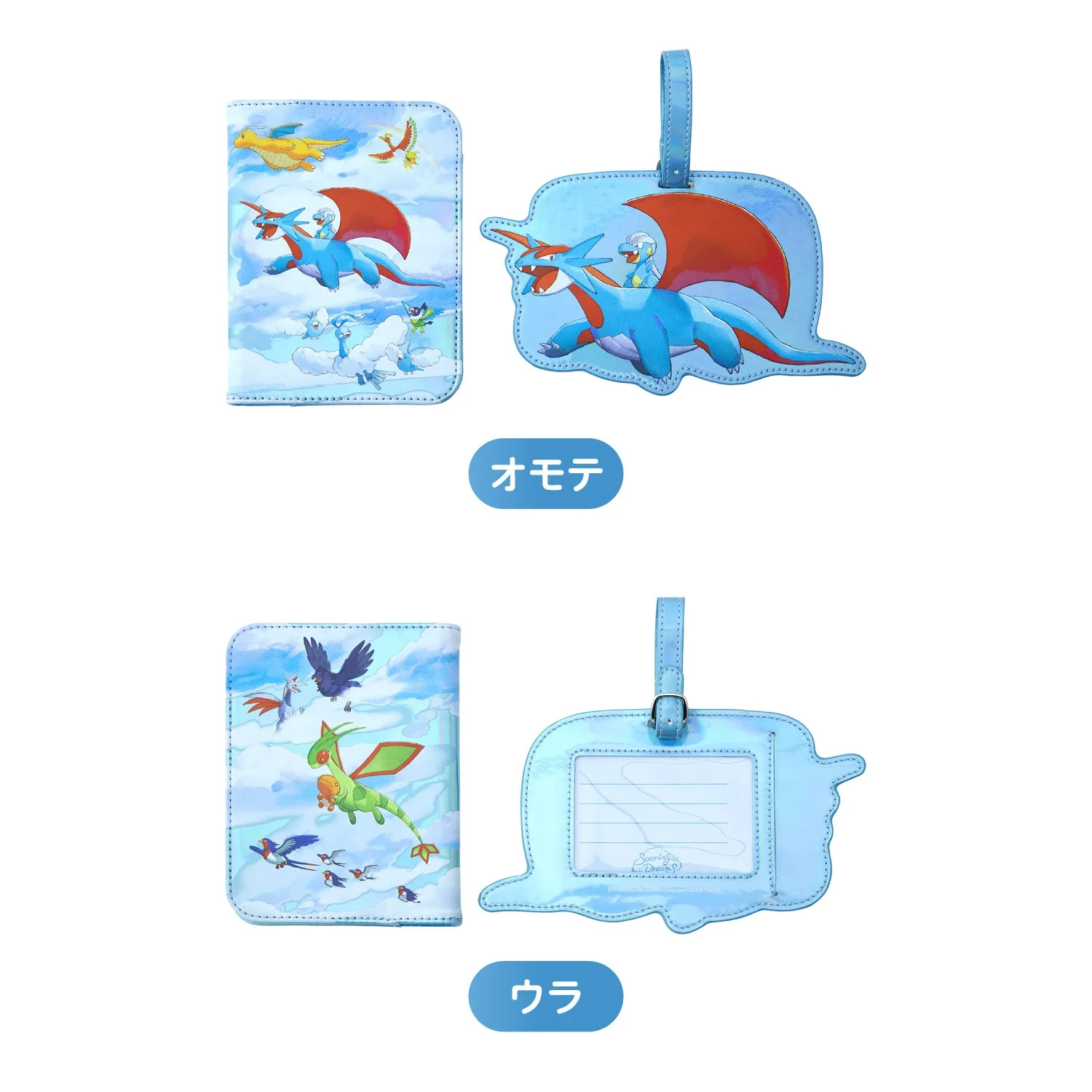Soaring Dreams passport and luggage tag set